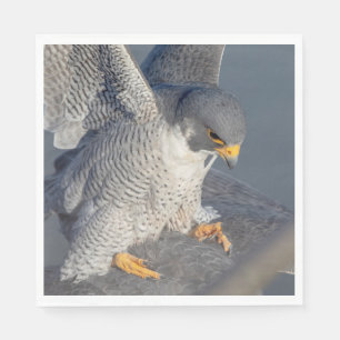 Peregrine Falcon entlang des Hudson River Serviette