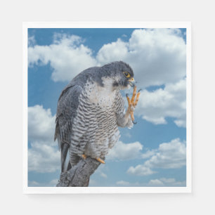 Peregrine Falcon entlang des Hudson River Serviette