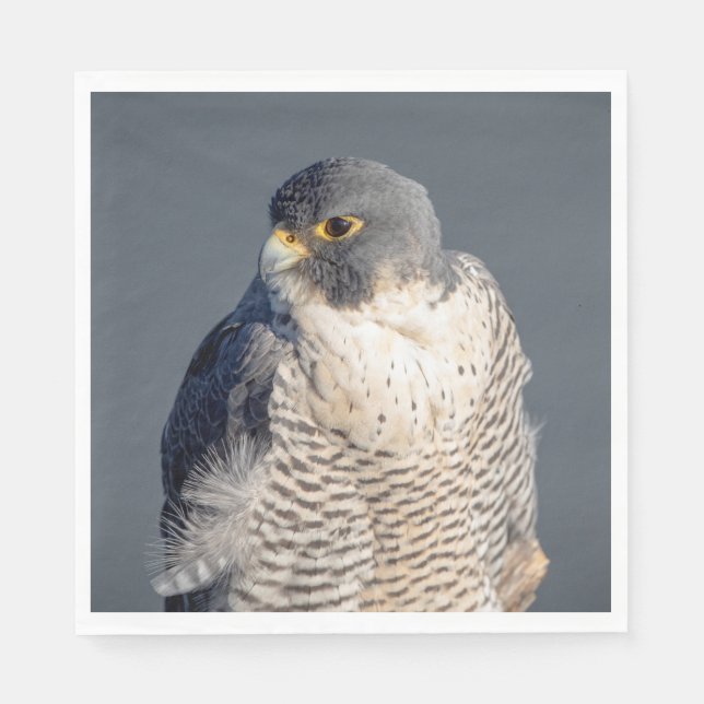 Peregrine Falcon entlang des Hudson River Serviette (Vorderseite)