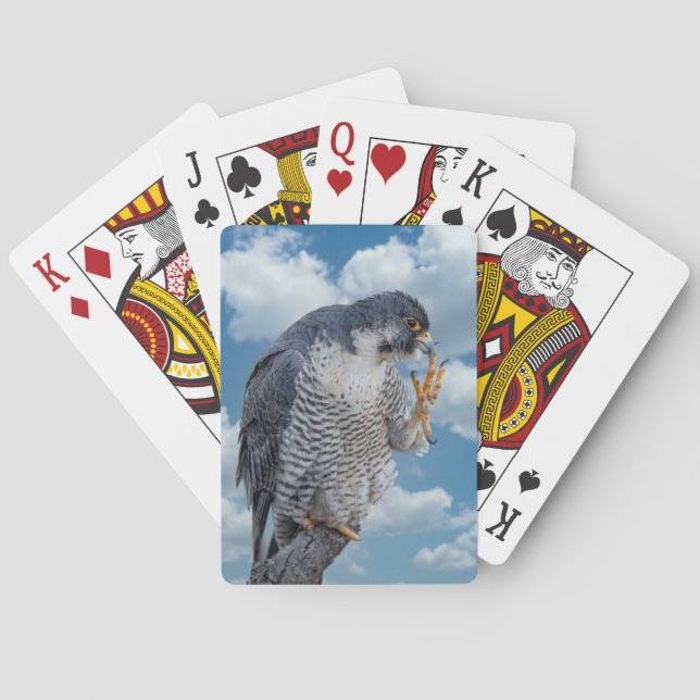 Peregrine Falcon entlang des Hudson River Spielkarten (Rückseite)