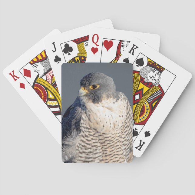 Peregrine Falcon entlang des Hudson River Spielkarten (Rückseite)