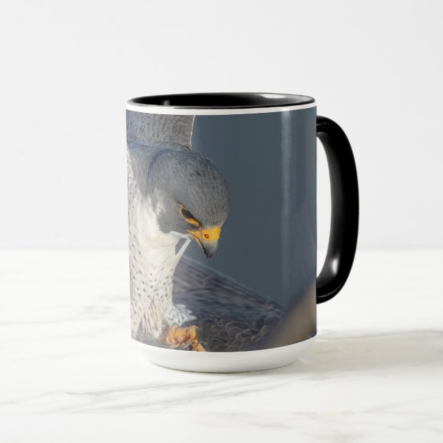 Peregrine Falcon entlang des Hudson River Tasse (VorderseiteRechts)