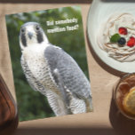 Peregrine Falcon Foto Funny Birthday Card Karte<br><div class="desc">Humorvolle Geburtstagskarte für alle mit dem Foto eines Peregrine Falken auf der Suche nach Essen. Pass besser auf den Kuchen auf! Wählen Sie aus einer matten oder glänzenden Stilkarte.</div>