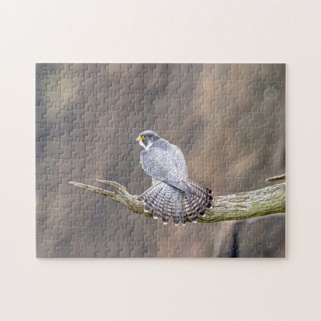 Peregrine Falcon im Palisades Interstate Park Puzzle (Horizontal)