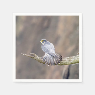 Peregrine Falcon im Palisades Interstate Park Serviette
