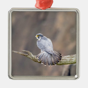 Peregrine Falcon im Palisades Interstate Park Silbernes Ornament