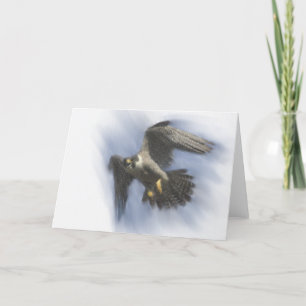 Peregrine Falcon in Flight Card Karte
