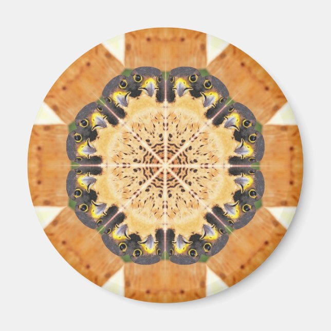 Peregrine Falcon Kaleidoscope Magnet (Vorne)