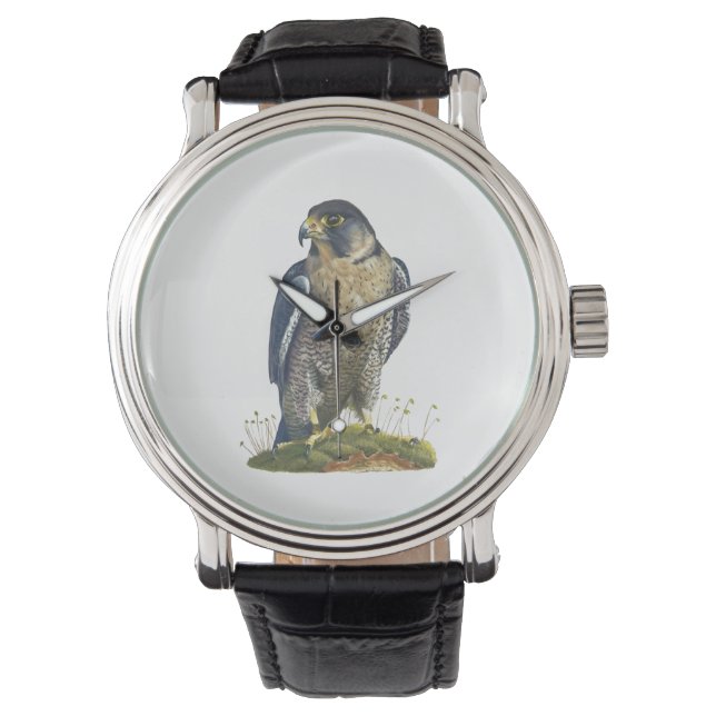 Peregrine Falcon Leather Armbanduhr (Vorderseite)