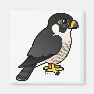 Peregrine Falcon Magnet