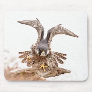 Peregrine Falcon Mousepad