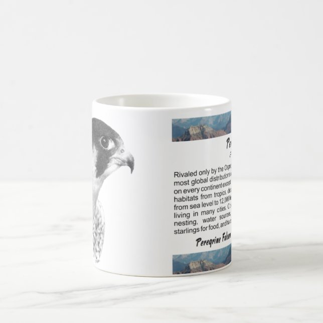 Peregrine Falcon-Pencil Kaffeetasse (Mittel)