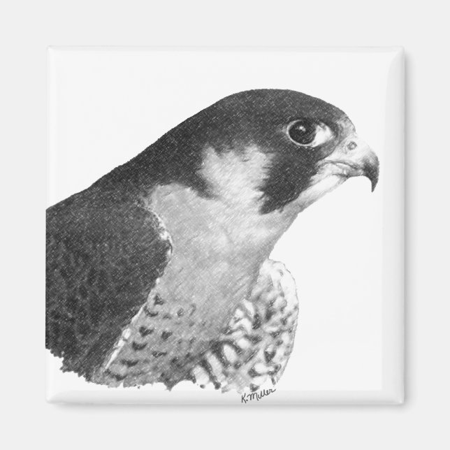 Peregrine Falcon-Pencil Magnet (Vorne)