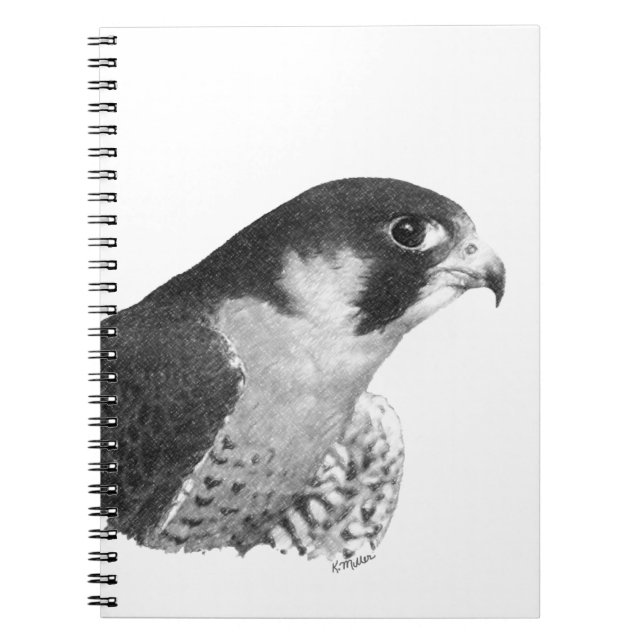 Peregrine Falcon-Pencil Notizblock (Vorderseite)