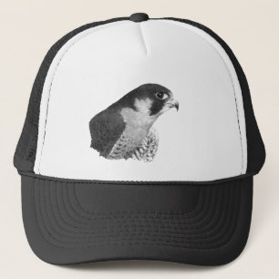 Peregrine Falcon-Pencil Truckerkappe