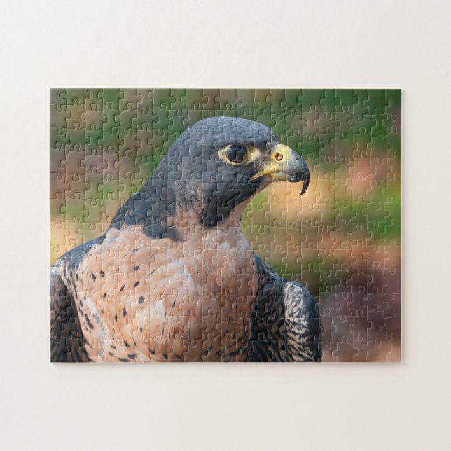 Peregrine Falcon Profil Puzzle (Horizontal)