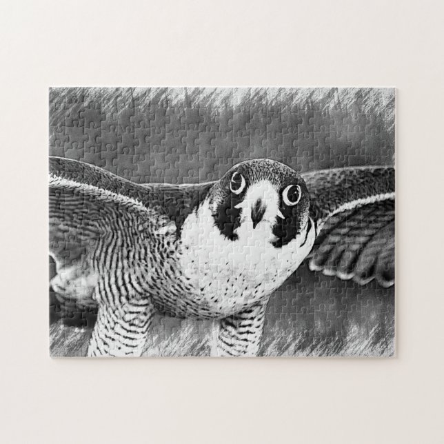 Peregrine Falcon Puzzle (Horizontal)