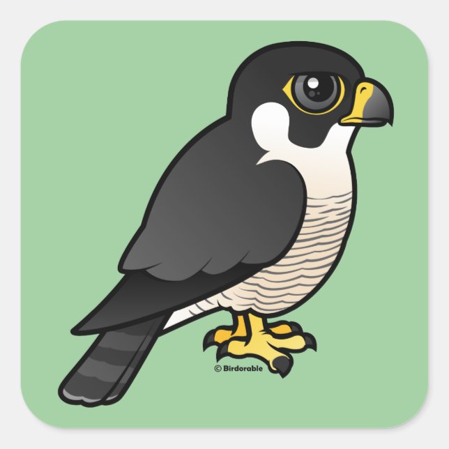 Peregrine Falcon Quadratischer Aufkleber (Vorderseite)