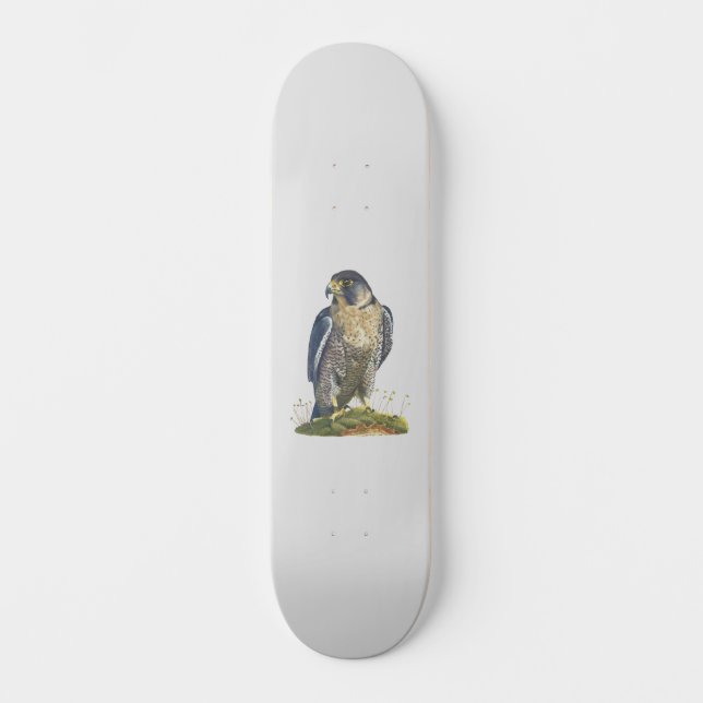 Peregrine Falcon Skateboard (Vorderseite)