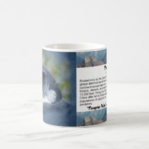 Peregrine Falcon Tasse