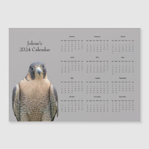 Peregrine Falcon und ein Kalender 2024 Magnetkarte