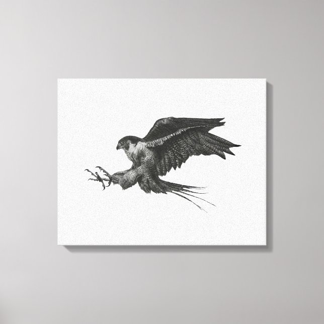 Peregrine Hawk-Leinwand Leinwanddruck (Vorderseite)