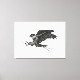 Peregrine Hawk-Leinwand Leinwanddruck