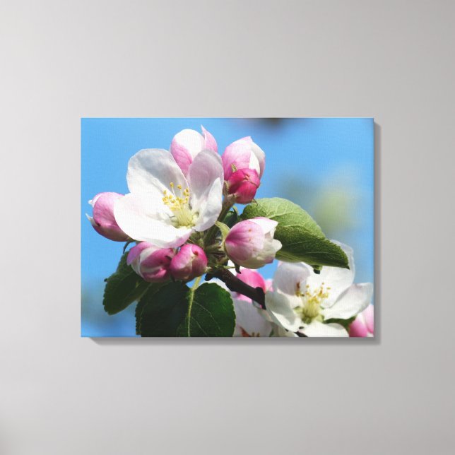 Perfect Apple Blossom Wrapped Canvas (Glanz) Leinwanddruck (Vorderseite)