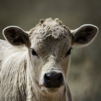 Perfect fit for after that perfect filling feeding baby strampler