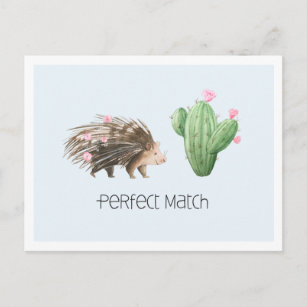 Perfect Match   Niedliche Liebe Porcupine & Cactus Postkarte