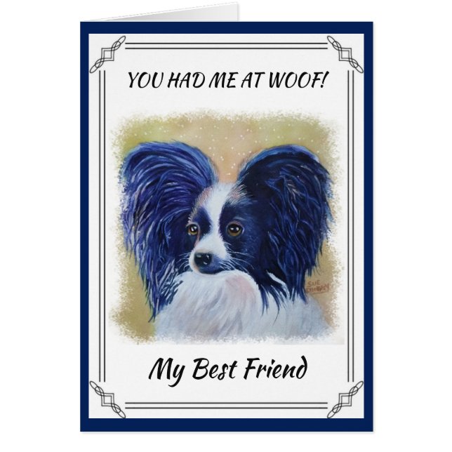 PERFECT PAPILLON (Vorne)