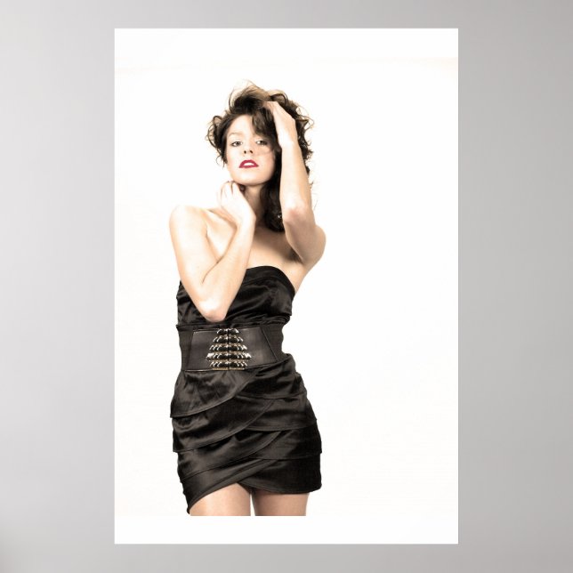 Perfect Salon Poster (Vorne)