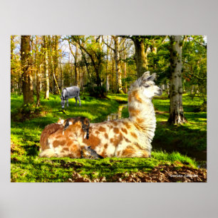 "Perfect Sunday Afternoon" Poster