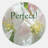 Perfekt! Aufkleber nach Kundenwunsch Apfelblüten B