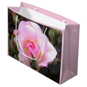 Perfekt Englisch Rosa Rose Große Größe Große Geschenktüte