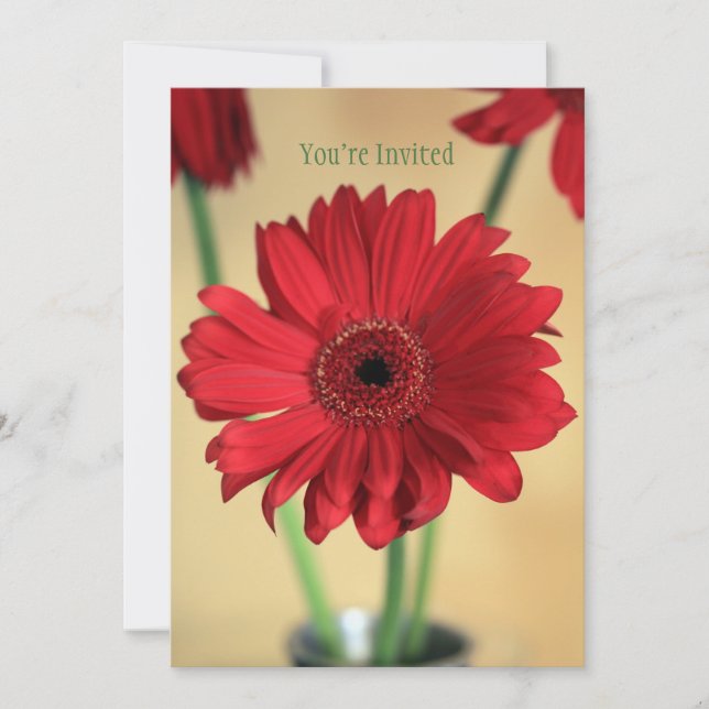 Perfekt Hübsch Einladung (Vorderseite)