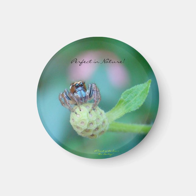 Perfekt in Nature Award Magnet (Vorne)