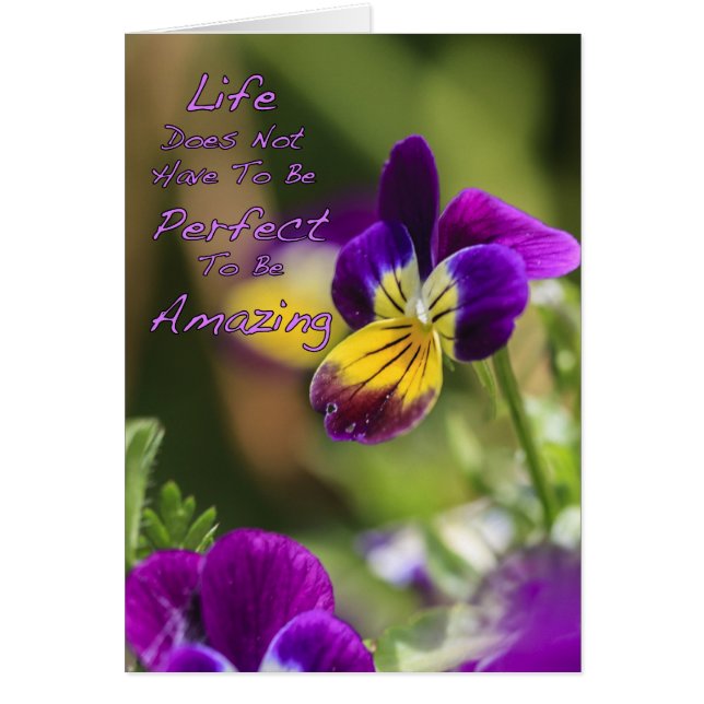 Perfekt Phantastisches Leben (Vorne)