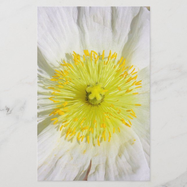 Perfekt Poppy Briefpapier (Vorderseite)