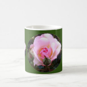 Perfekte englische Rose Kaffeetasse