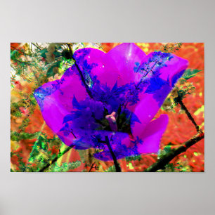 perfekte Entschuldigung Poster