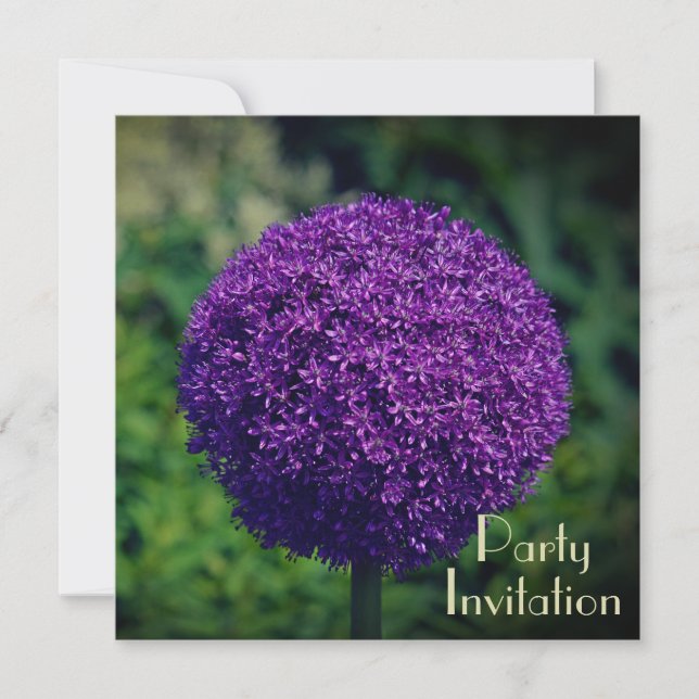 Perfekte Lila Allium Blume 60. Geburtstagsparty (Vorderseite)