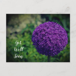 Perfekte Lila Allium Blume wird bald gut. Postkarte