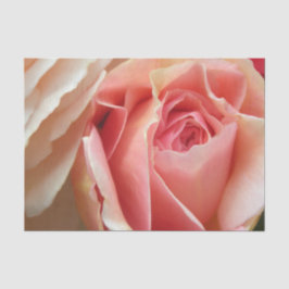 Perfekte PastellRose Seidenpapier