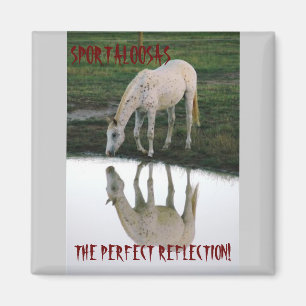 Perfekte Reflexion. Magnet