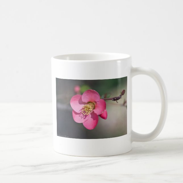 Perfekte rosa Blütenquitte Kaffeetasse (Rechts)