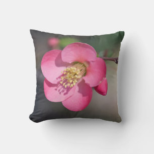 Perfekte rosa Blütenruhe Kissen