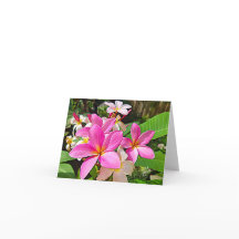 Perfekte rosa Plumeria-Mitteilungskarten