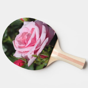 perfekte rosa Rosenblume und Knospen. Liebe, Freun Tischtennis Schläger