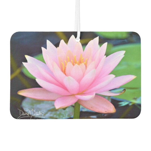 Perfekte rosa Schönheit Autolufterfrischer (Vorderseite)
